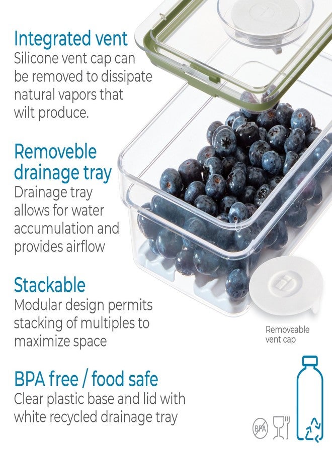 InterDesign iDesign Medium Fridge Produce Bin with Removable Drainage Tray and Lid - Set of 2 - Clear - Image 3