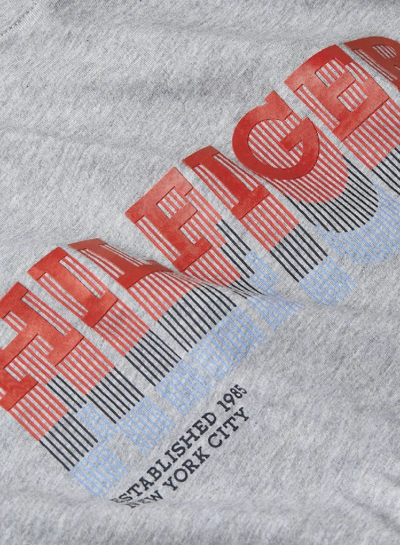 TOMMY HILFIGER  Short Sleeve T-Shirt Gray for Men | Best Price UAE