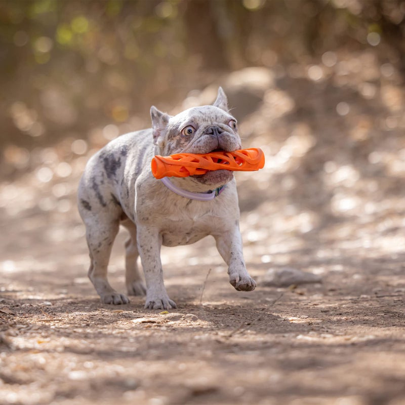Chuckit! Air Fetch Stick Dog Toy, Large, Orange - Image 5