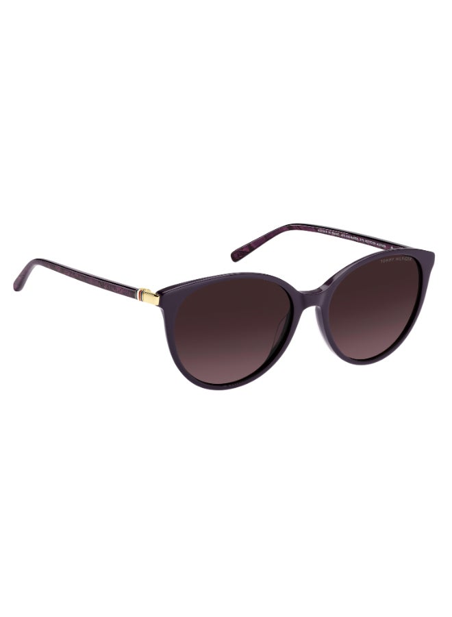 TOMMY HILFIGER TH 2350/S Sunglasses Purple Round - Image 2