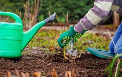 FEELING MALL Hand Digging Super Strong Garden ScoopTrowel Shovel Transplanter Mini Garden Tools Gardening with Plastic Handles Metal Head Gardener Bonsai Tool - Image 5