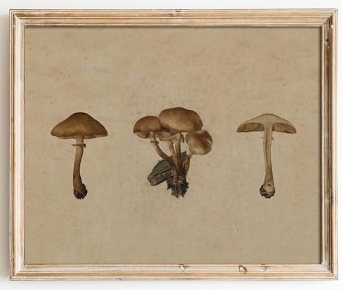Kizbok Vintage Mushroom Wall Art Poster, Farmhouse Mushroom Wall Decor, Retro Botanical Paintings Cottagecore Room Decor Aesthetic, Neutral Earthy mushroom Picture for Kitchen Bedroom Gallery Nursery Home decor(8" x 10"-UNFRAMED) - Image 1