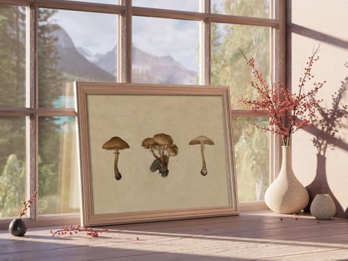 Kizbok Vintage Mushroom Wall Art Poster, Farmhouse Mushroom Wall Decor, Retro Botanical Paintings Cottagecore Room Decor Aesthetic, Neutral Earthy mushroom Picture for Kitchen Bedroom Gallery Nursery Home decor(8" x 10"-UNFRAMED) - Image 4