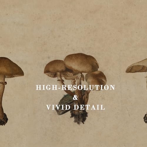 Kizbok Vintage Mushroom Wall Art Poster, Farmhouse Mushroom Wall Decor, Retro Botanical Paintings Cottagecore Room Decor Aesthetic, Neutral Earthy mushroom Picture for Kitchen Bedroom Gallery Nursery Home decor(8" x 10"-UNFRAMED) - Image 2