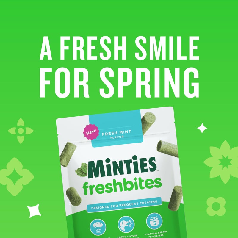 Minties FreshBites Soft and Chewy Dental Treats, Low Calorie Natural Mint Flavored Dental Chews for Dogs, 100 Count, Dog Chews Clean Teeth, Fight Bad Breath, Removes Plaque and Tartar - Image 2
