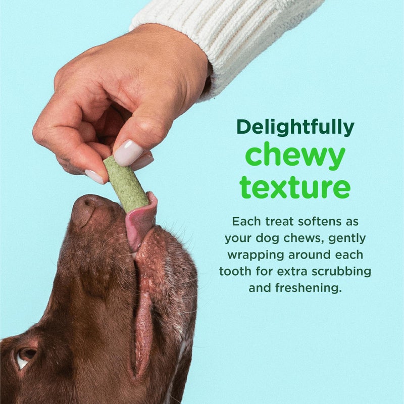 Minties FreshBites Soft and Chewy Dental Treats, Low Calorie Natural Mint Flavored Dental Chews for Dogs, 100 Count, Dog Chews Clean Teeth, Fight Bad Breath, Removes Plaque and Tartar - Image 4
