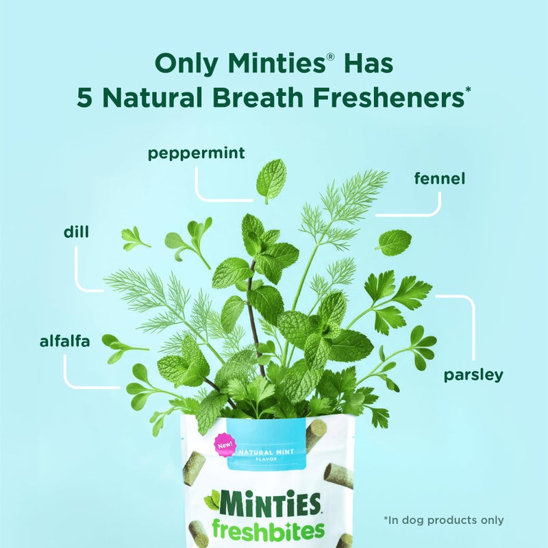 Minties FreshBites Soft and Chewy Dental Treats, Low Calorie Natural Mint Flavored Dental Chews for Dogs, 100 Count, Dog Chews Clean Teeth, Fight Bad Breath, Removes Plaque and Tartar - Image 5