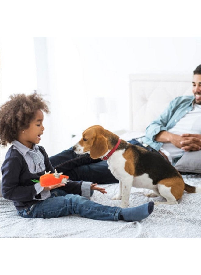 IFOYO Hide and Seek Dog Puzzle Toys, Plush Interactive Puppy Toys for Small, Medium Dogs, Easter Puppy Essentials - Image 5