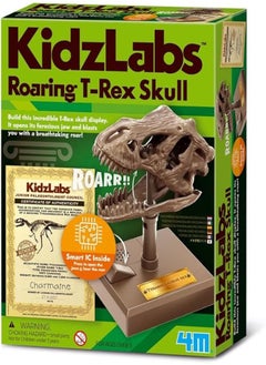4m 4M Dino skull 