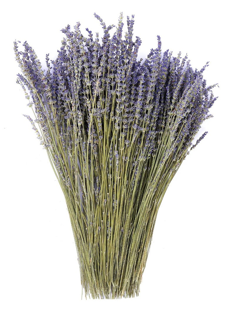 Dried Lavender Flowers Bundles 100% Natural Real Dry Flower for Home Decorations,Home Fragrance 350+ Stems - Image 1