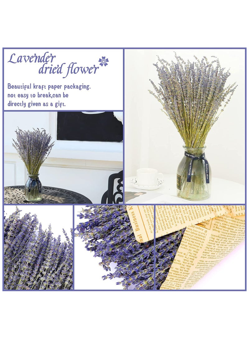 Dried Lavender Flowers Bundles 100% Natural Real Dry Flower for Home Decorations,Home Fragrance 350+ Stems - Image 4
