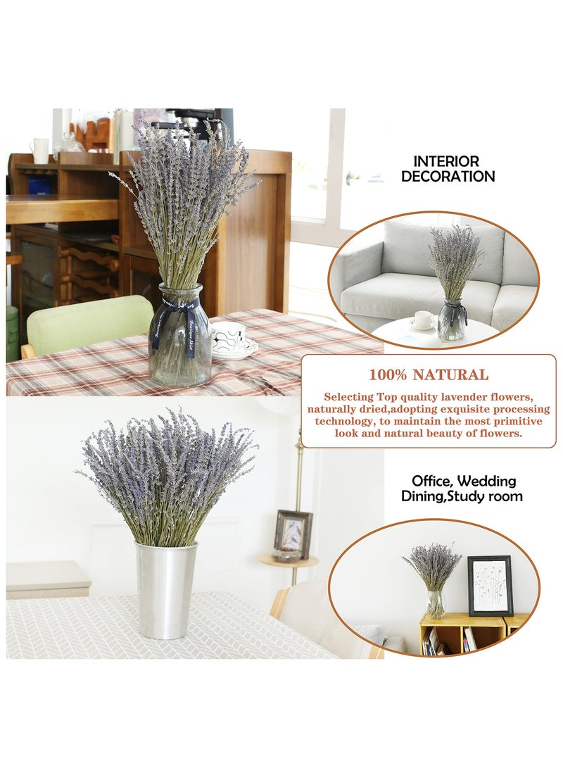 Dried Lavender Flowers Bundles 100% Natural Real Dry Flower for Home Decorations,Home Fragrance 350+ Stems - Image 3