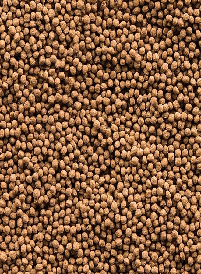 Sera Koi Royal Mini 300gm - Image 4