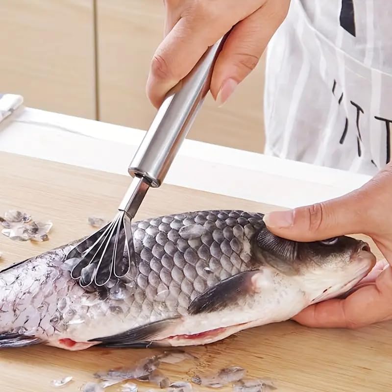 TASKHOUSE Stainless Steel Coconut Peeler Meat Slicer Scraper Fish Scales Removal Fruit Vegetable Multi Purpose Grater (Pack of 1) - Image 4