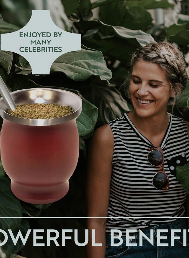Norte Group Norte Yerba Mate Cup Kit, 8-Ounces Traditional Mate Tea Cup/Gourd Set | Includes 2 Bombillas (Yerba Mate Straw) & Cleaning Brush, Stainless Steel Cup, Double-Walled, Easy to Clean | Burgundy - Image 5