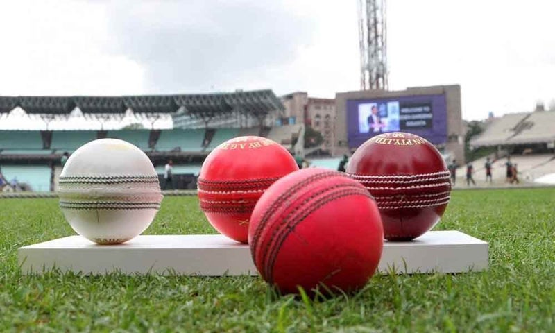 Kookaburra Cricket Ball (Speed White), Leather - Image 2