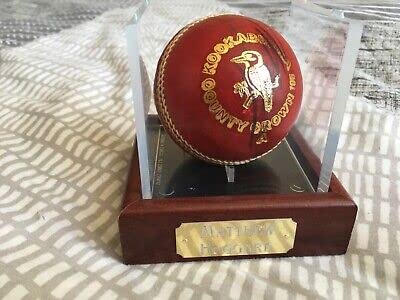 Kookaburra Cricket Ball (Speed White), Leather - Image 3