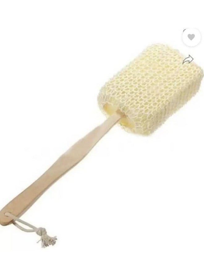 Trendy PROFESSIONAL PACK OF 1 WOODEN LOOFA BATH SCRUBBER FOR MEN AND WOMEN - Image 1