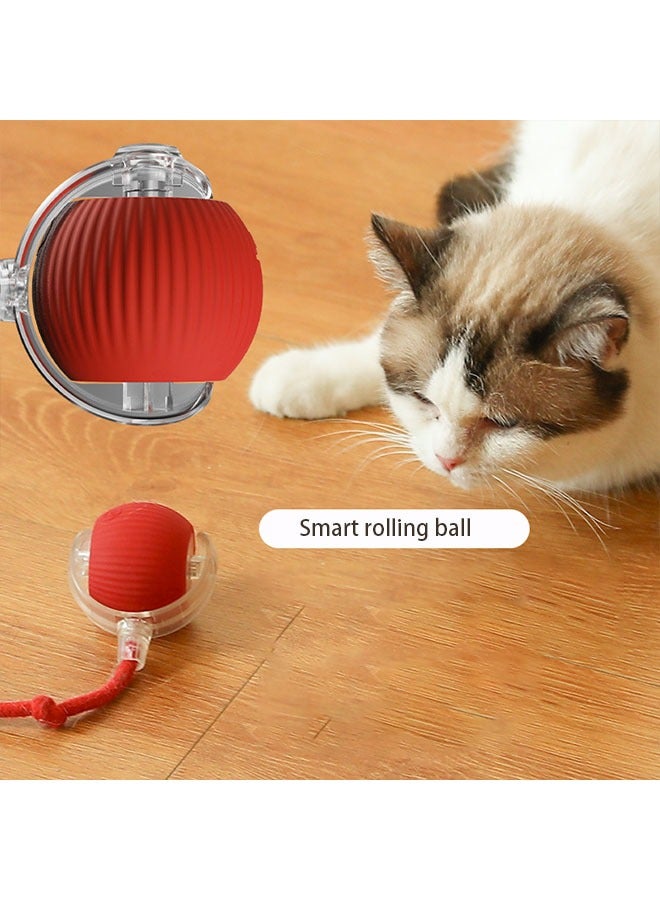 Smart Cat Toy Ball with Birdsong and Automatic Rolling - Rechargeable Interactive Cat Ball, Flashing Feather Rope, 6 Hours Play Time, Safe and Durable Kitten Teasing Ball - Image 3