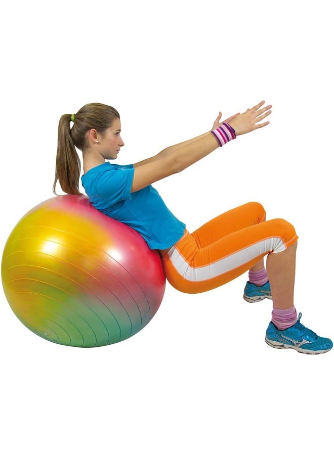 Gymnic Gymnic Arte Plus Burst-Resistant Exercise Ball  - Image 2