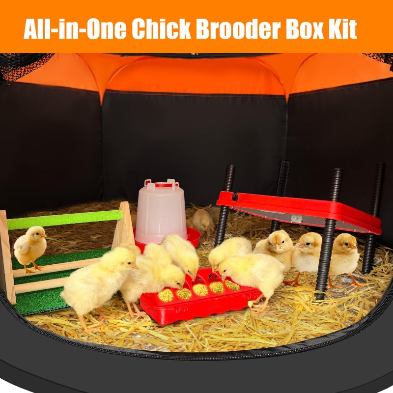 Phoncoo Brooder Box for Chick, 6-in-1 Chick Starter Kit, Includes Brooder Heating Plate, Baby Chicken Pen, Chicken Feeder, Waterer, Perch, Nesting Pad (Brooder Set) - Image 5