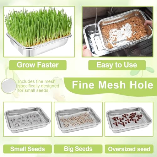 TCYPUHL Stainless Steel Sprouts Growing Kit 2-Tier 10.4 inch Trays, Microgreens Growing Kit, Seed Sprouting Tray with Encrypted Mesh Sprouts for Beans Alfalfa Broccoli Wheat Grass - Image 4