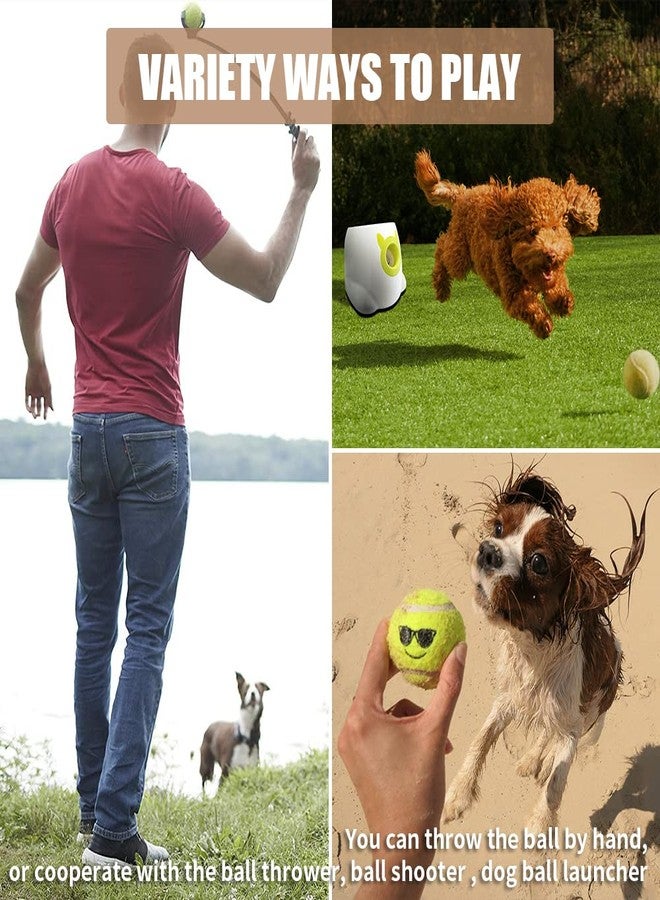 ptlsy Dog Tennis Balls 16 Pack Pet Mini Tennis Ball for Small Medium Dogs Fetching (2 inch) - Image 3