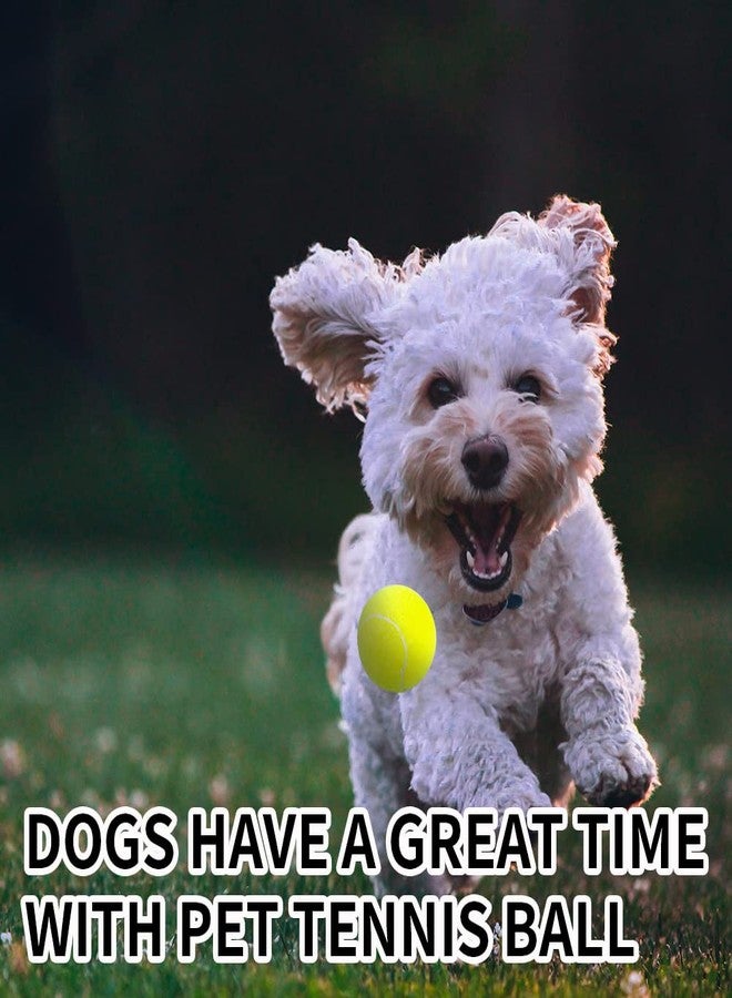 ptlsy Dog Tennis Balls 16 Pack Pet Mini Tennis Ball for Small Medium Dogs Fetching (2 inch) - Image 5