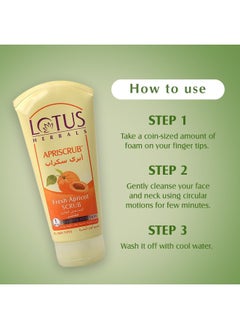 LOTUS HERBALS Apriscrub Fresh Apricot Scrub 180Gm  - Image 3