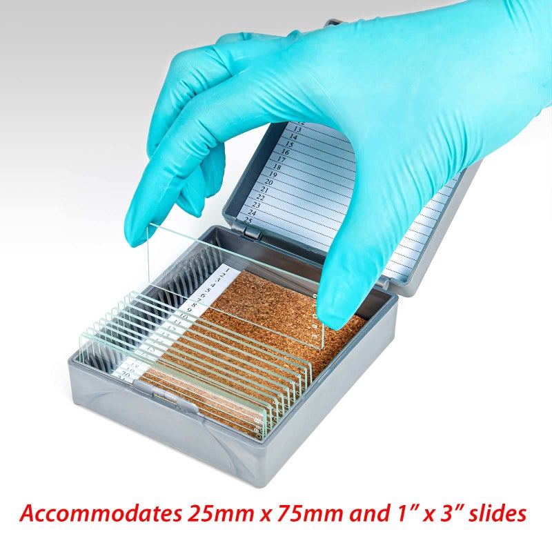 Globe Scientific 513075A ABS Plastic Cork Lined Slide Storage Box for 25 Slides, Gray - Image 4