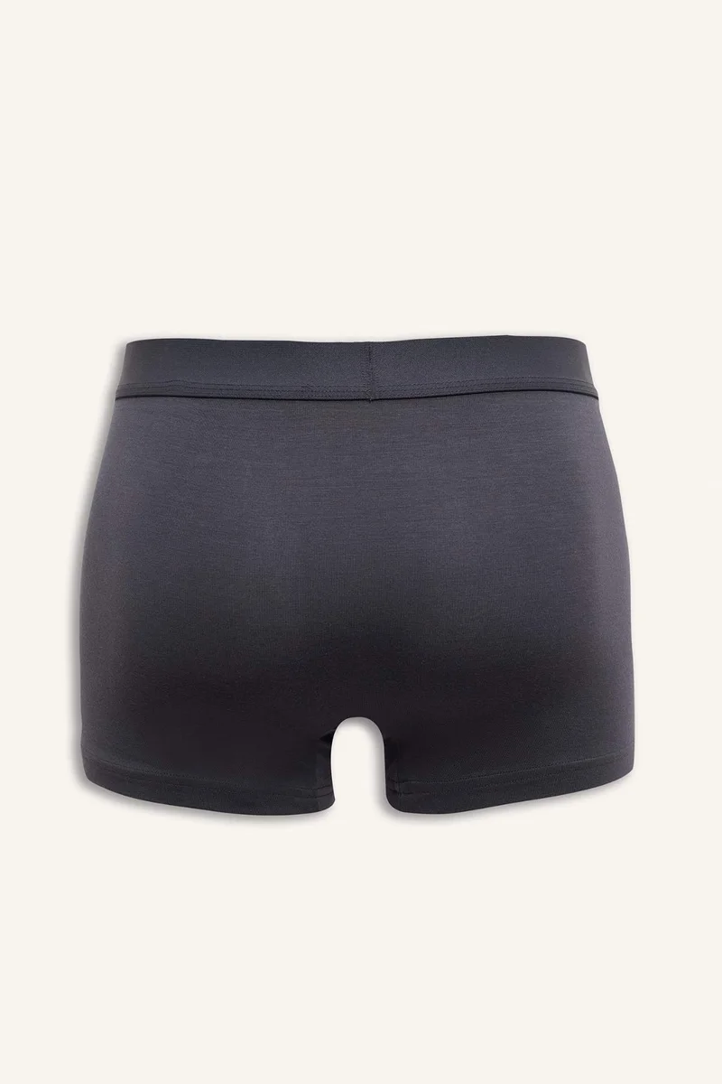 DeFacto Premium Regular Fit Modal Boxer