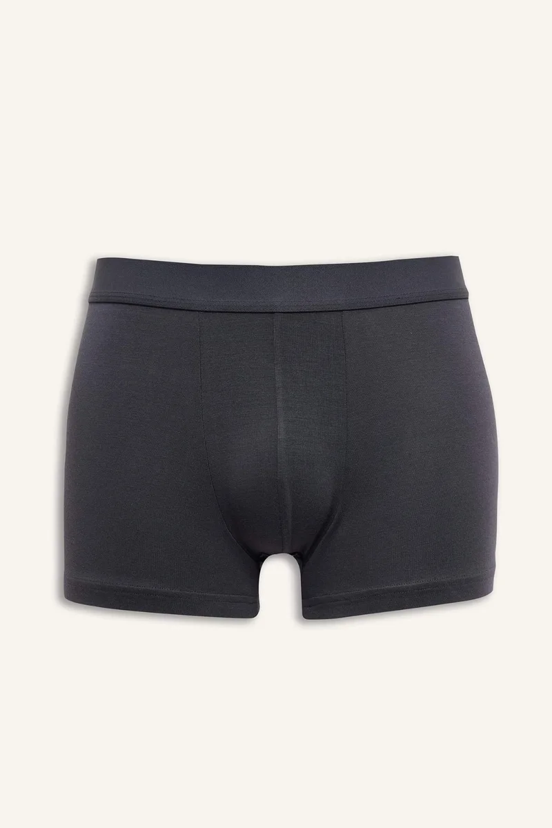 DeFacto Premium Regular Fit Modal Boxer