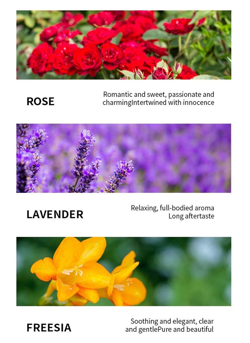 HANKEY 6-PCS Premium Aromatherapy Essential Oil Set, Plant Extract 10ml*6 - Image 5