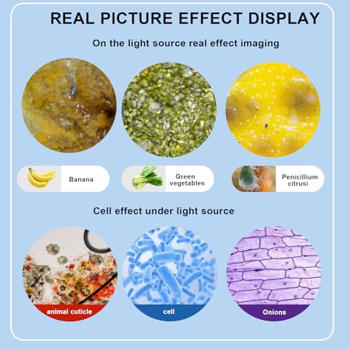 Woehrsh Microscope for Adults WF10x and WF25x eyepieces 40X2000X Magnification USB Camera Microscope for Adults Suitable for Laboratory School Large Model Binocular Electronic Eyepiece - Image 3