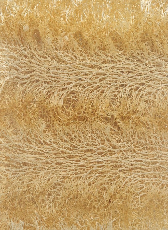 Primal Elements JUICY KIWI Handmade Glycerin LoofahBar Soap - Image 3