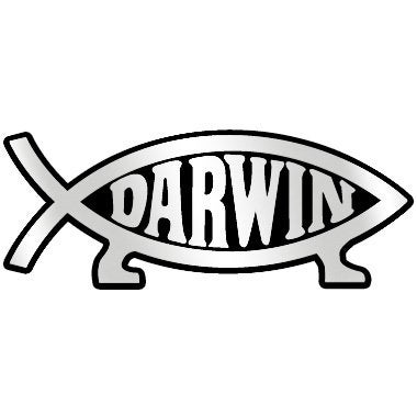 Darwin Fish Plastic Auto Emblem Silver5 14 x 2