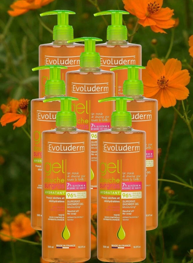 إيفو لوديرم 7 قطع جل الاستحمام المرطب بالسكر من إيفولوديرم 500مل - Image 1