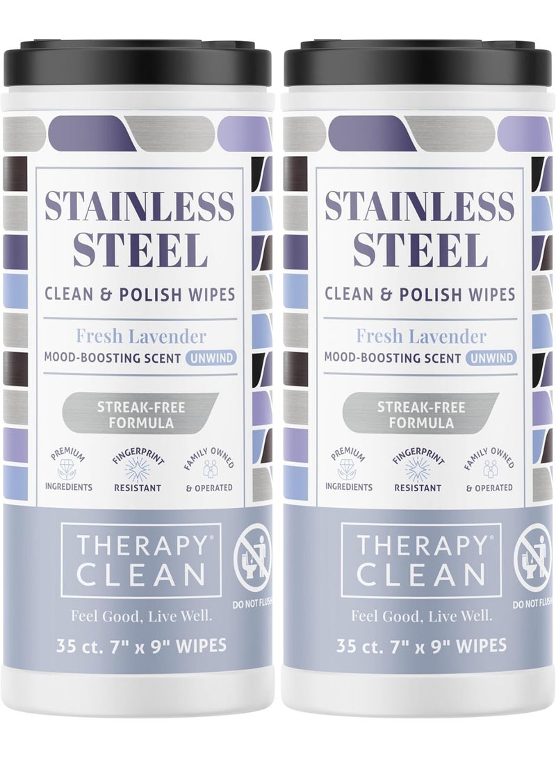 Therapy Stainless Steel Wipes, 30 Count (2 Pack) - Appliance Cleaner for Fridge, Dishwasher, Oven, Stove, Sink, Microwave, and More - Removes Smudges, Fingerprints, and Leaves a Streak-Free Shine - Image 1