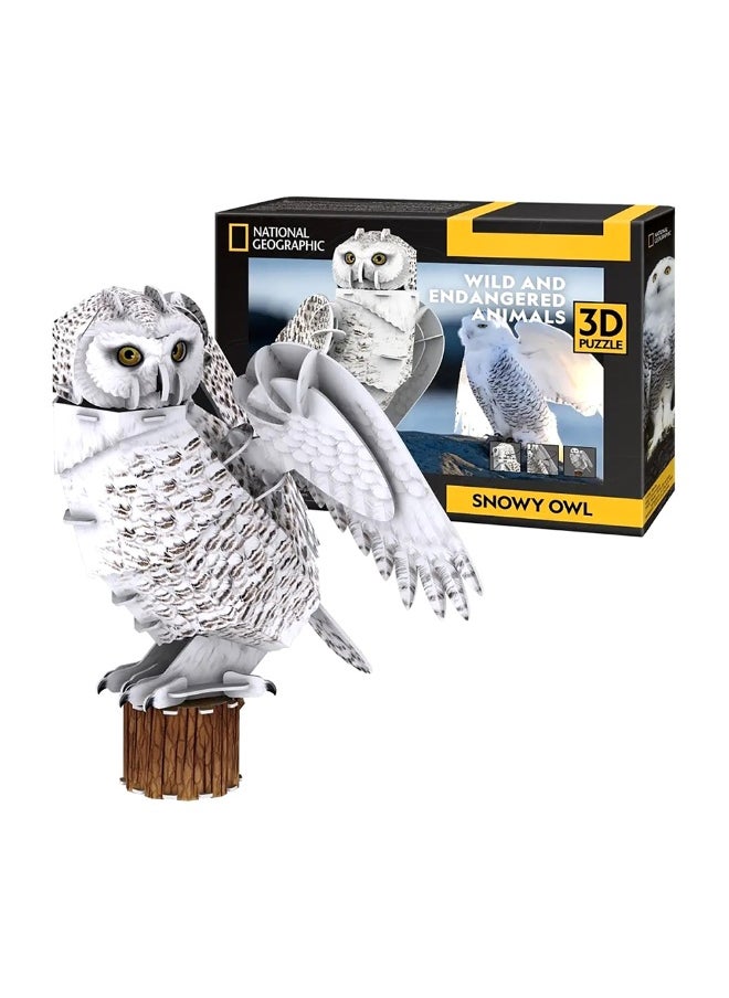 Snowy Owl 3D Puzzle (62 Pieces) - pzsku/Z12D2B3BF5865971B3790Z/45/_/1725275755/02cd6c9f-8dcc-4744-86f7-0f7e3f7c414b