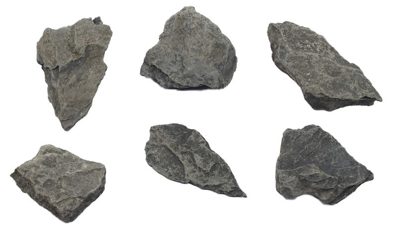 EISCO 6PK Raw Carbonaceous Shale, Sedimentary Rock Specimens - Approx. 1" - Geologist Selected & Hand Processed - Great for Science Classrooms - Class Pack - Image 1