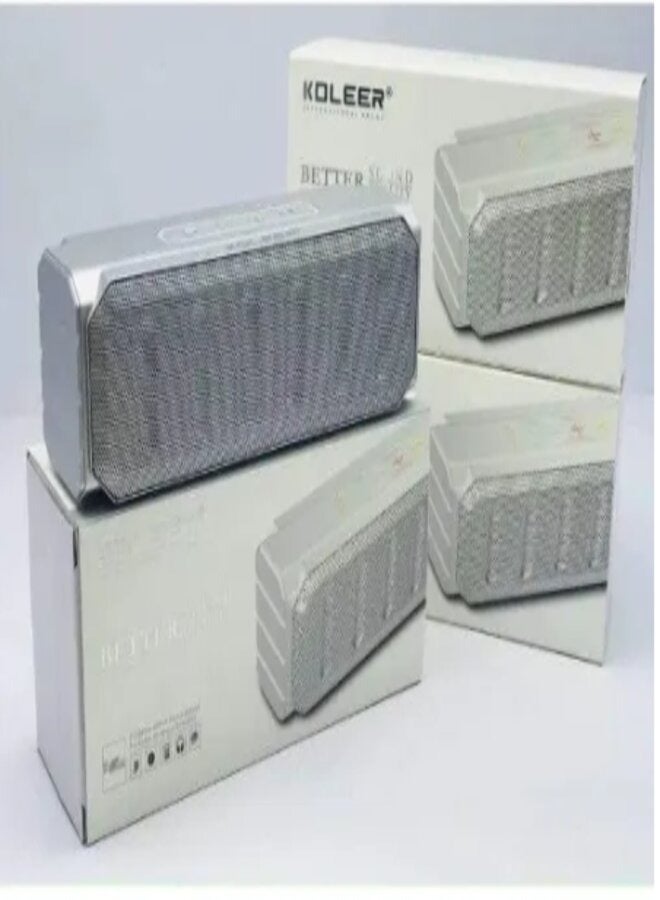 كولير S813 مكبر صوت بلوتوث - 1200 مللي أمبير - فضي - Image 1