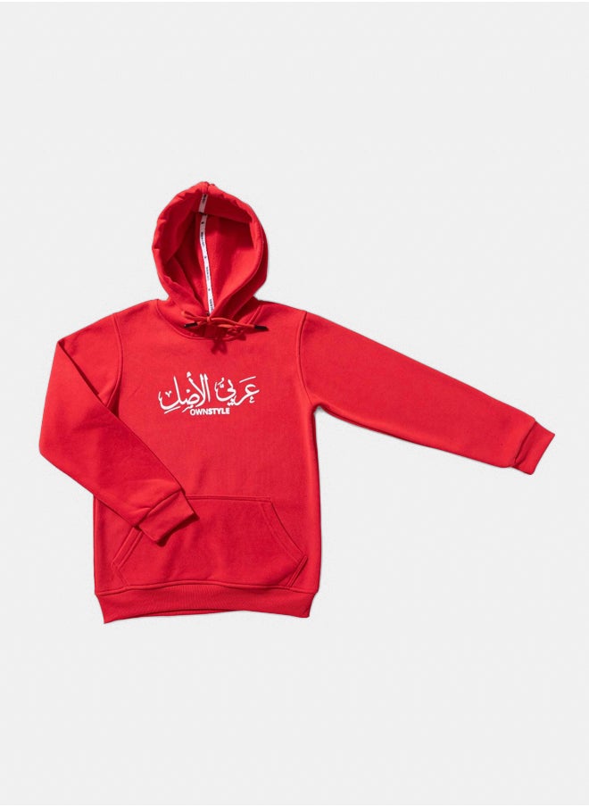 سويت شرت بزنط هودي اولادي - pzsku/Z12D7E9689924391C4DA3Z/45/_/1729159691/1f805c2b-5252-4cc6-b933-5a65b201061a