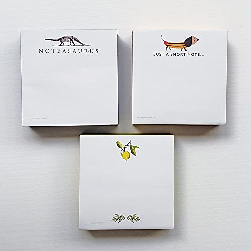 Nancy Nikko Dinosaur (Bones) Note-A-Saurus Sticky Note Cube - 3 3/8" x 3 3/8" x 1" (86mm x 86mm x 25mm) - Image 4