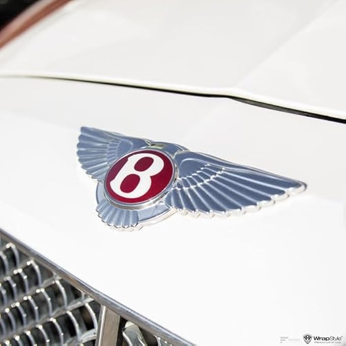 ريحني شارة جناح الشبك الأمامي من بنتلي أحمر لكونتيننتال جي تي جي تي فلاينغ سبير قطعة واحدة - Image 3