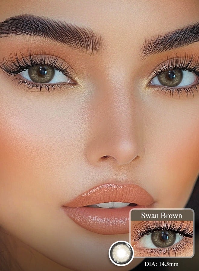 Freshlady Colored Contact Lenses Swan Brown 14.50mm Yearly Disposable for Daily Wear - Image 1