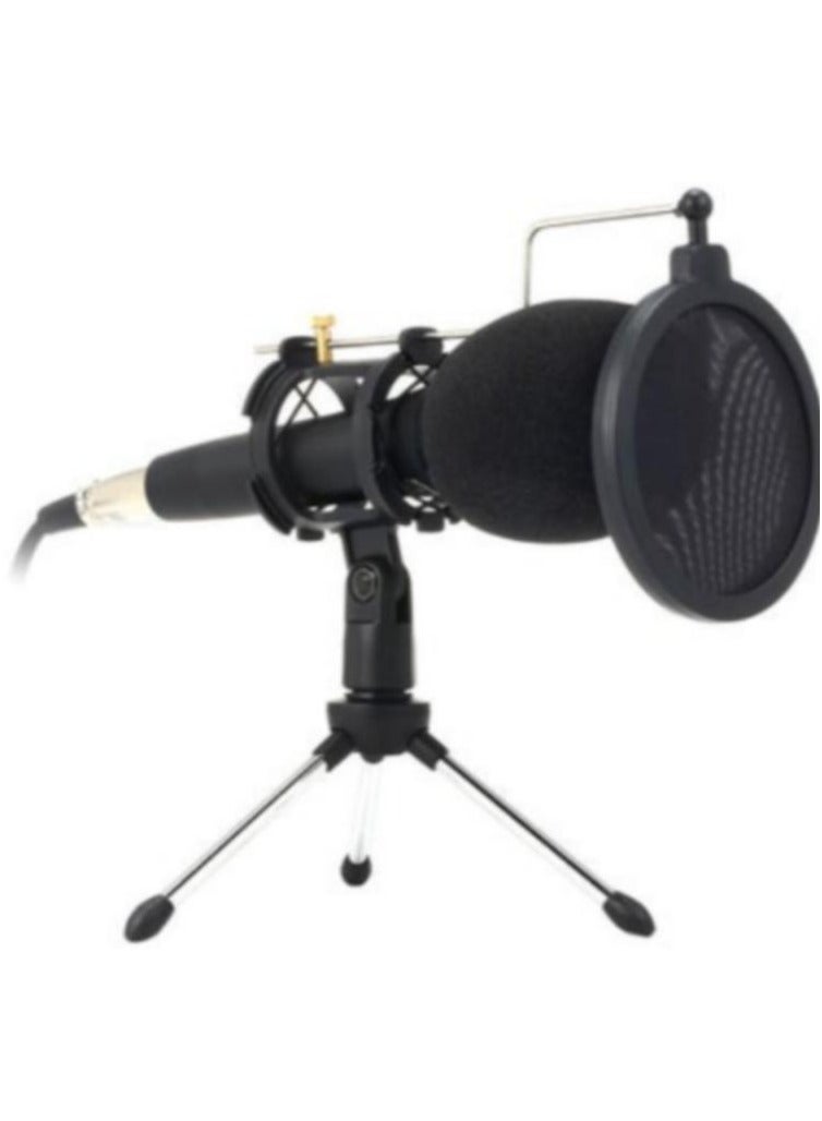 LOULUEN Condenser Microphone With Stand
