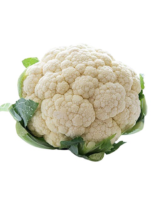 Improved F1 hybrid white cauliflower seeds