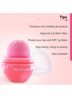 Hydronic Lip Balm | Intense Hydration & Nourishment | Soothing & Protective Formula For Soft, Smooth Lips - pzsku/Z12DE79D0FECC8F03E395Z/45/_/1735567018/dd21ab58-195c-4871-b05f-68d5866b17ee