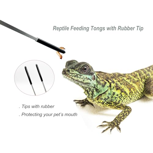 HRASY Stainless Steel Straight and Curved Tweezers Aquarium Tweezers with Rubber Tips Long Handle Reptile Feeding Tongs for Fish Tank Aquatic Plants, 2pcs, 10.6 Inch, Silver - Image 4