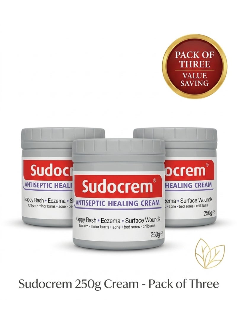 Sudocrem Skin Care Cream (Pack of 3 x 250g) – Protective Barrier Cream for Sensitive Skin & Diaper Area Care - Image 1